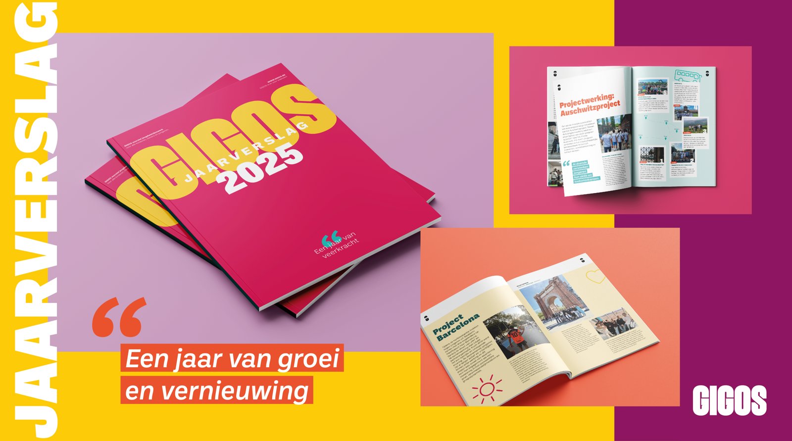 Gigos Website Jaarverslag 0013