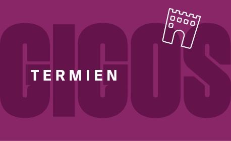 @article.CardImage.Name